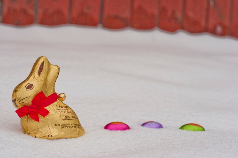 Illustration for article titled 9 Festive Photos of Easter Eggs